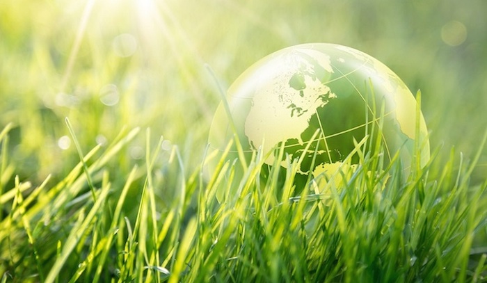 Green economy, il rapporto della Fondazione Symbola e di Unioncamere