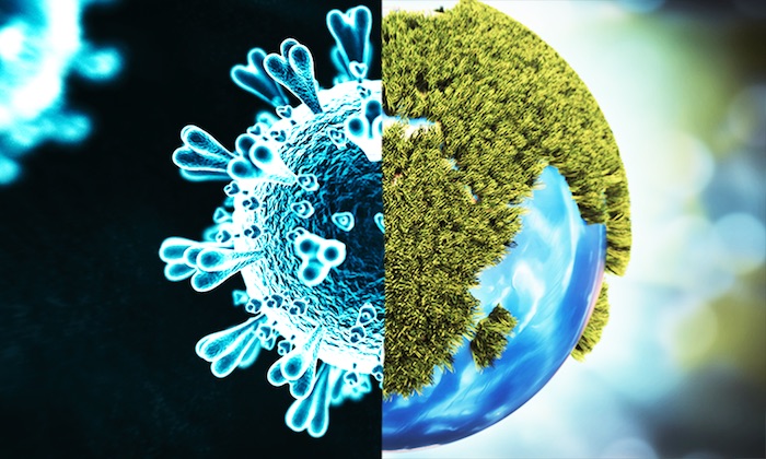 Covid-19 e cambiamenti climatici