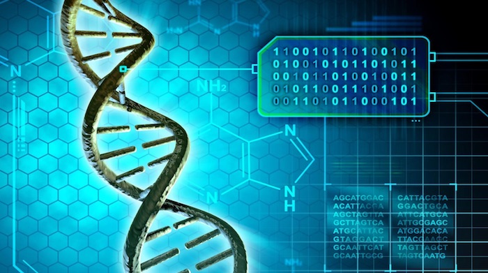 Un software velocizza l'individuazione delle malattie genetiche