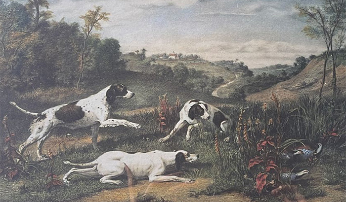 Le razze canine da caccia, una genesi filologica ed etimologica
