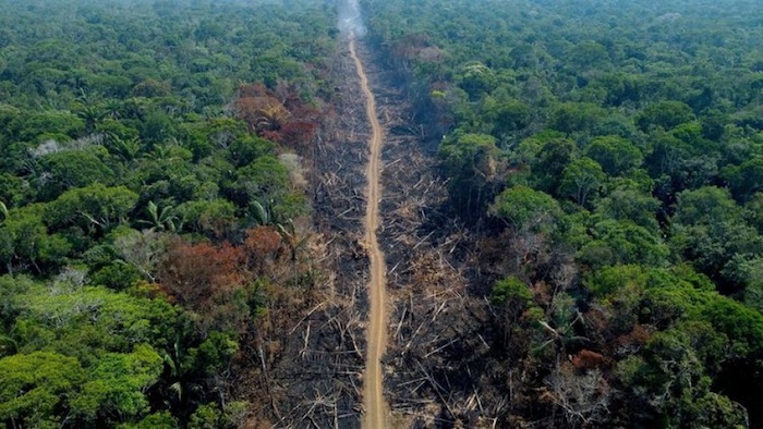 Un accordo tra Consiglio e Parlamento Ue per ridurre la deforestazione nel mondo