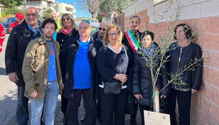 Santa Marinella: un albero del KKL in memoria di Michele Di Veroli ucciso alle Ardeatine