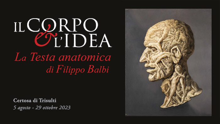 “Il corpo e l’idea: la testa anatomica di Filippo Balbi” alla Certosa di Trisulti