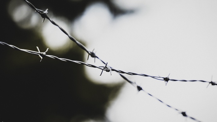 Giorno della Memoria 2026: gli Archivi raccontano le storie della Shoah e delle persecuzioni razziali