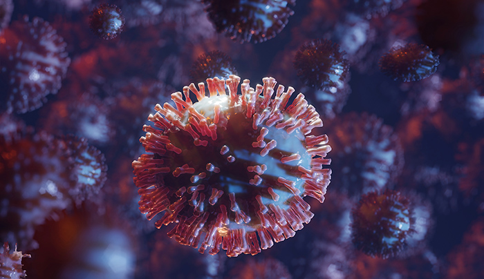 Una nuova luce sui tumori: sviluppata una piattaforma per catturare la dinamica delle cellule tumorali