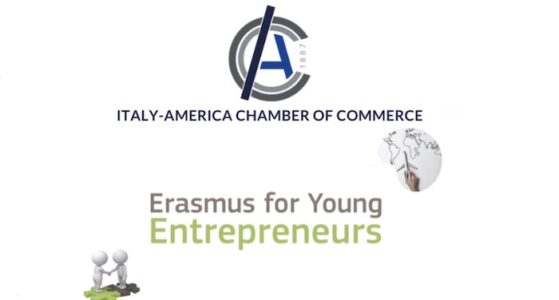 Erasmus for Young Entrepreneurs: vantaggi e funzionamento