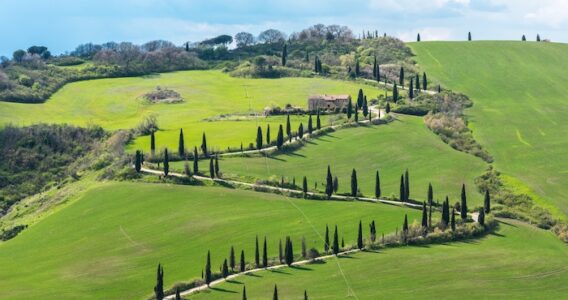 L’export italiano trainato dalle eccellenze agroalimentari: oltre 67 miliardi di euro nel 2025